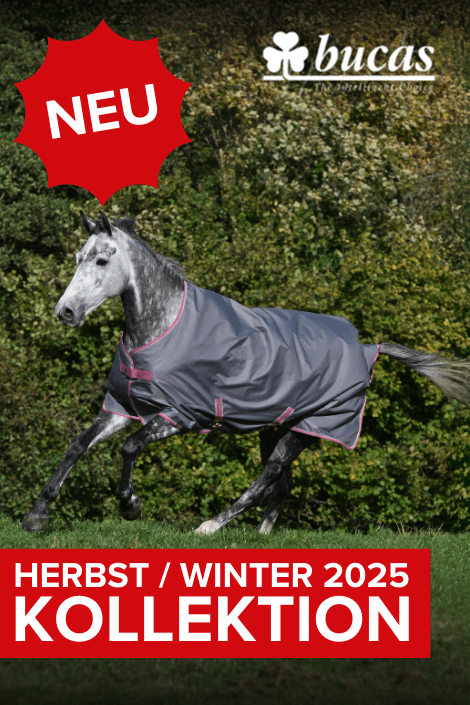 Neue Bucas Kollektion HW 2025