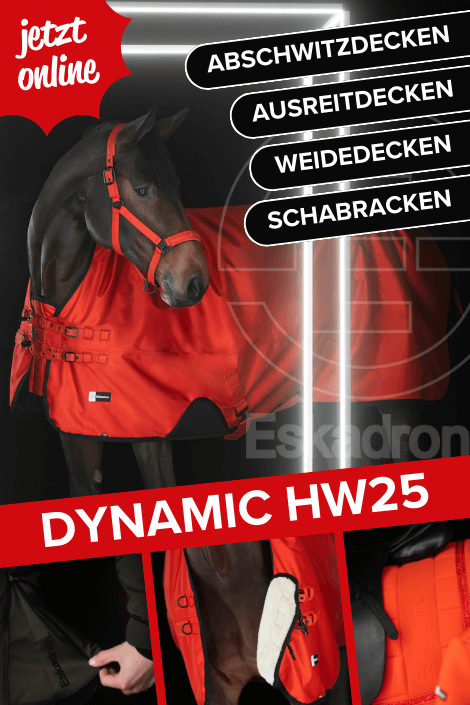 Eskadron Dynamic HW25
