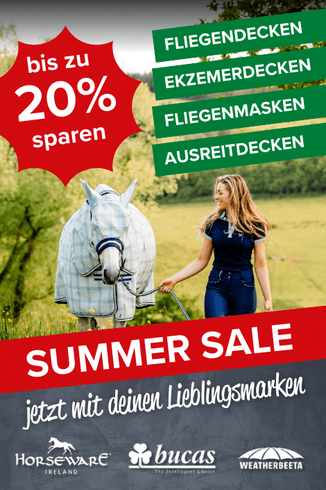 Summer Sale 2025