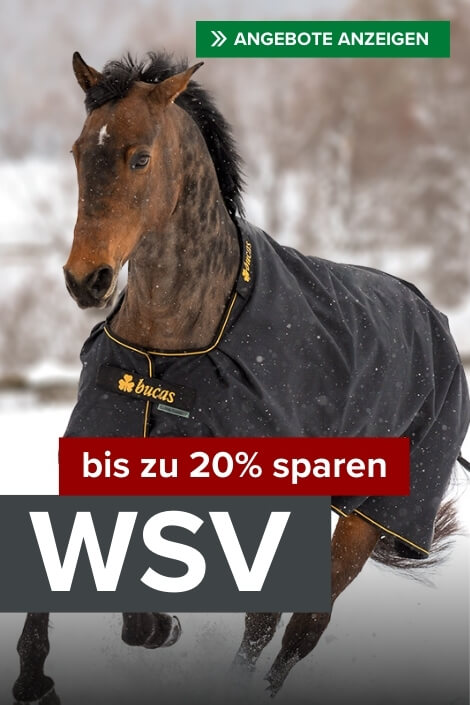 WSV