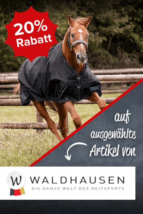20% Rabatt auf ausgewu00e4hlte Waldhausen-Artikel