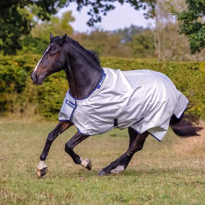 Bucas Power Turnout Light Classic 0g - silver