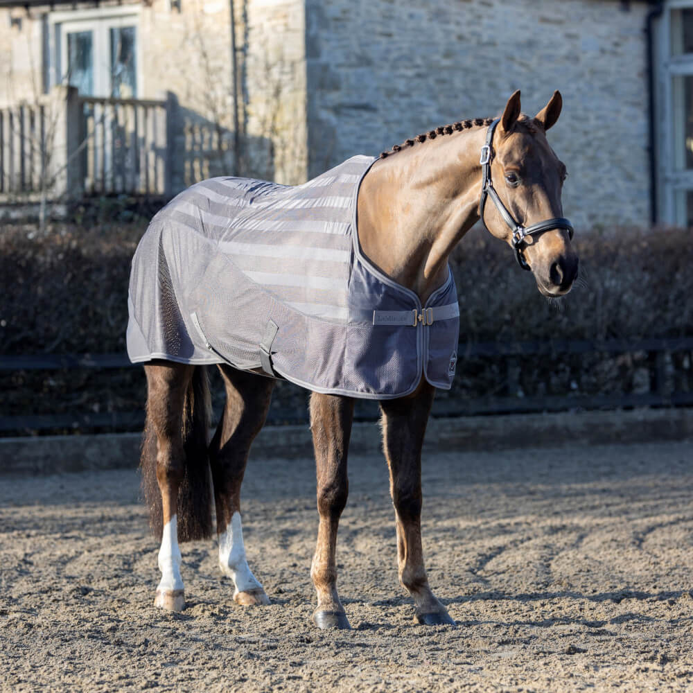 LeMieux Arika Air-Tek Rug