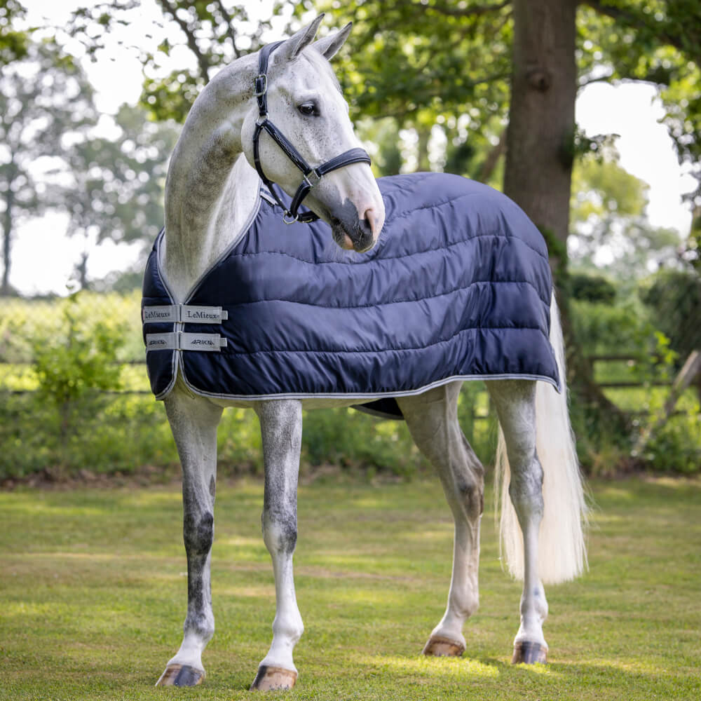 Comparer les prix de Couverture d'extérieur pour cheval LeMieux Arika 100 g