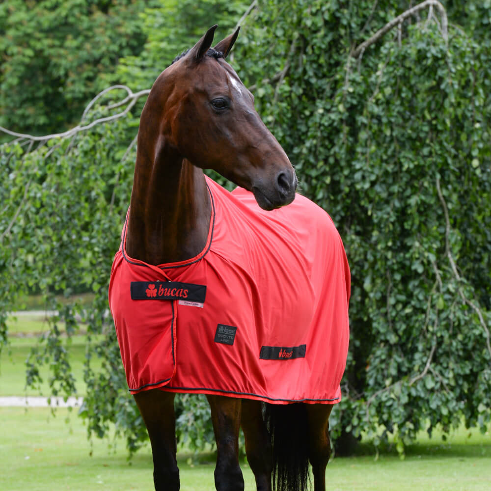 Bucas Sports Line Cooler Black/Red, 125 HorSeven