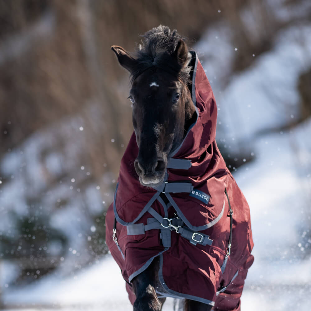 Meilleurs prix pour Couvre-cou Flexible Pro 100g de Busse - marine (gris), S