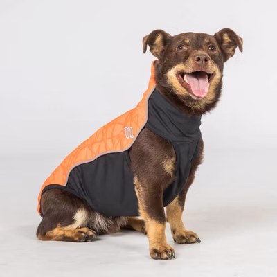 Back on Track Eddie Petite Hundepullover reflektierend