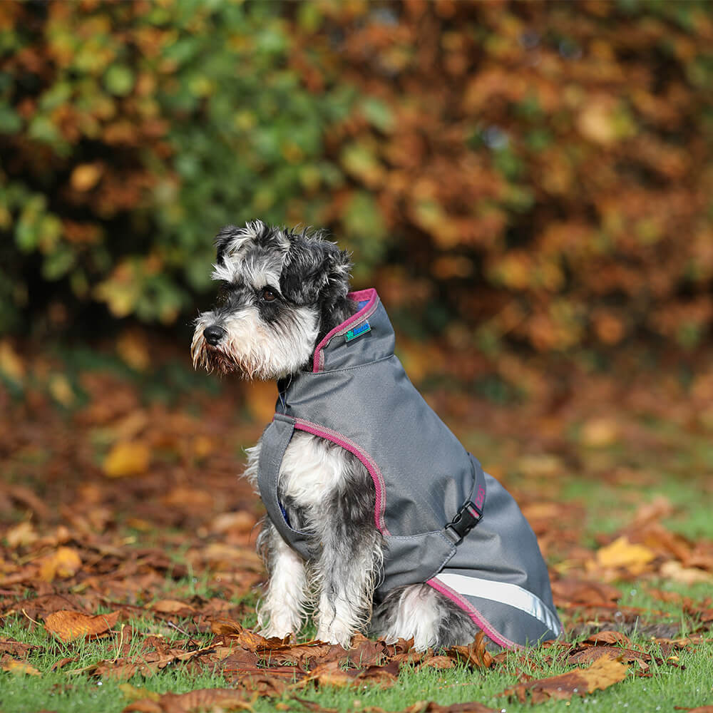hundekissen kuschelig NEU: Orthopdisches Hundekissen aus Teddy