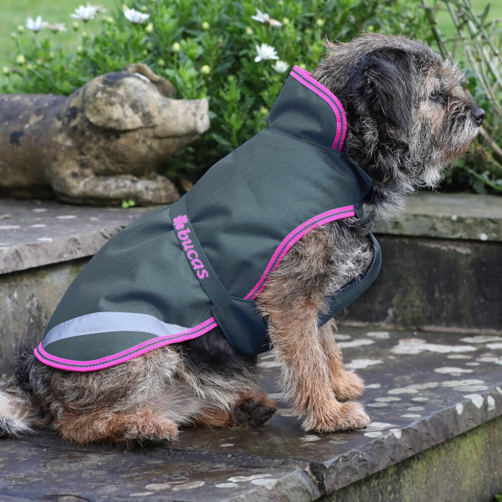 Comparer les prix de Bucas Freedom Dog Rug 150g