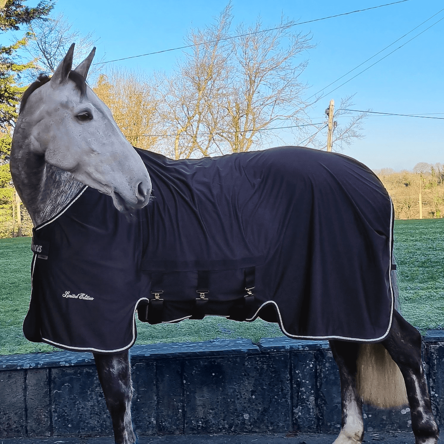 Meilleurs prix pour Bucas X-Range Cooler Limited Edition