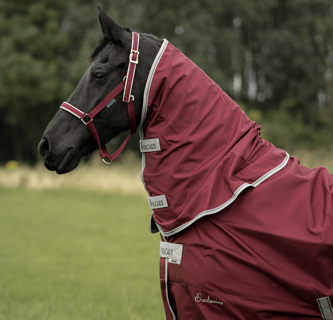 Comparer les prix de Bucas Atlantic Combi Neck