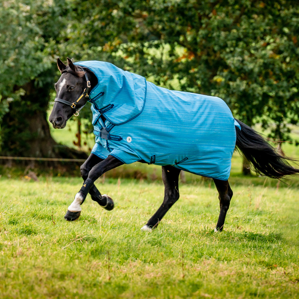 Horseware Amigo Hero 900 Revive Plus 50g HorSeven