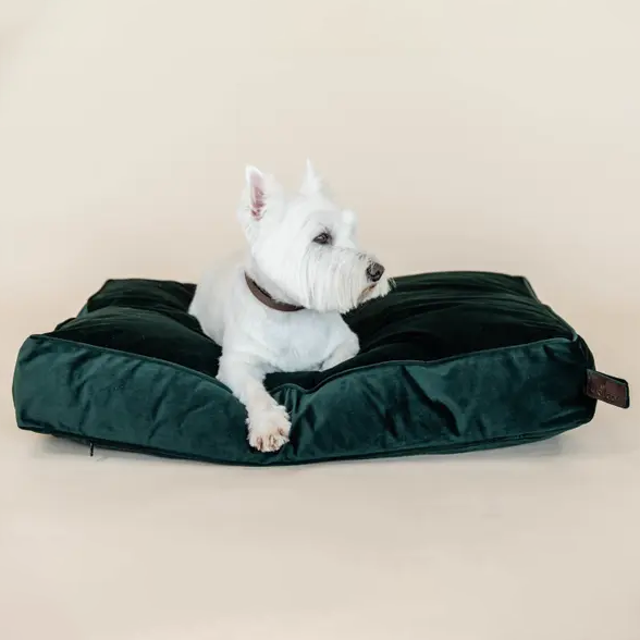 Kentucky Dogwear Hundekissen Samt | HorSeven