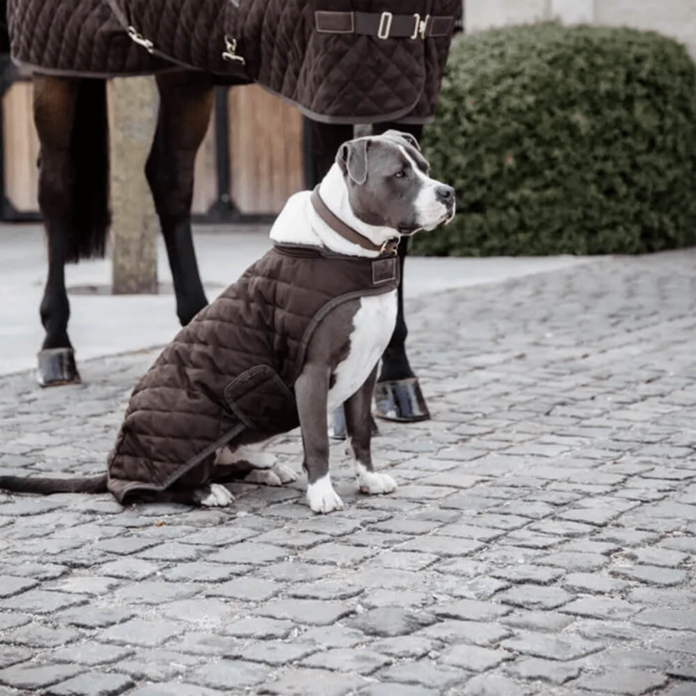 Kentucky Dogwear Hundemantel Original | HorSeven