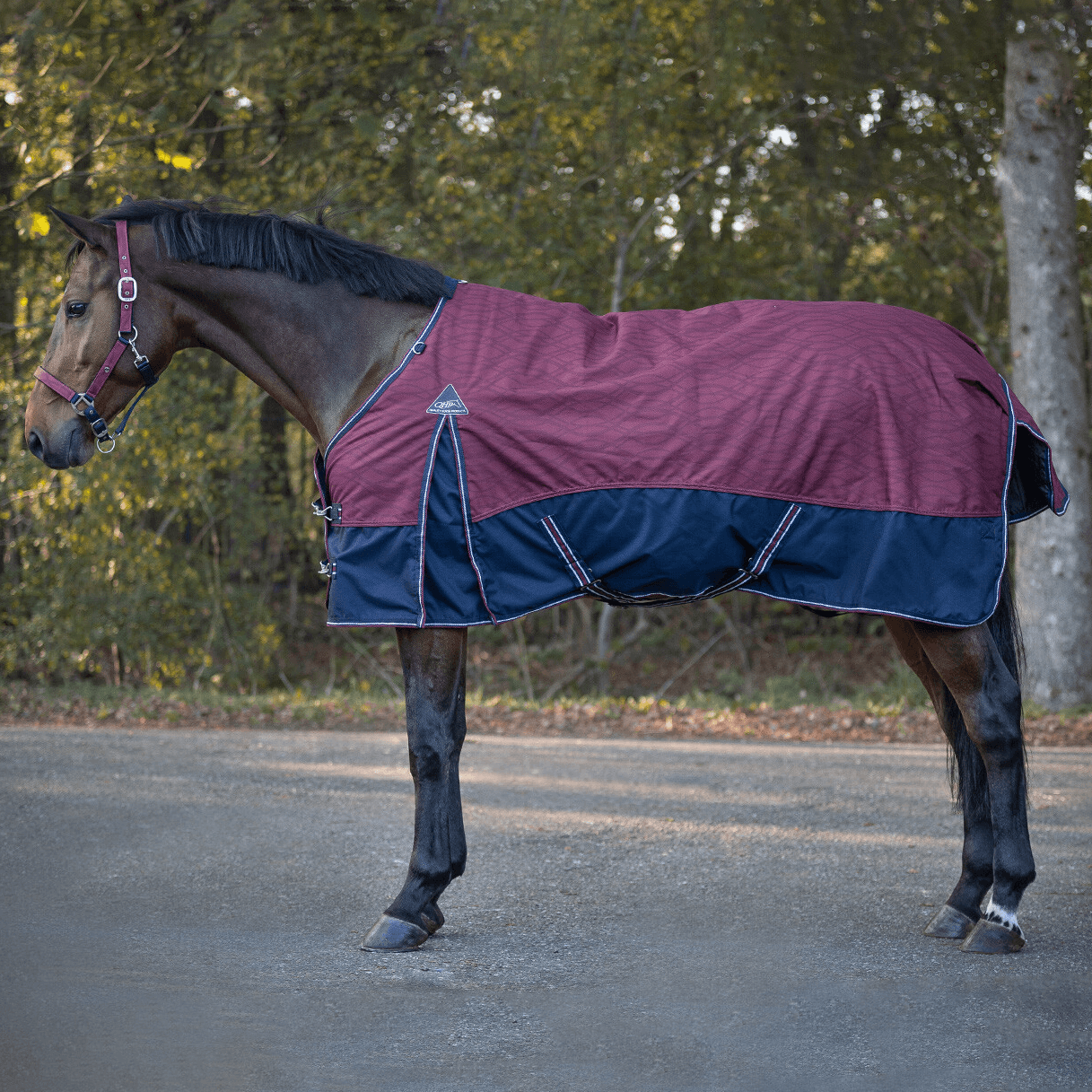 QHP Turnout rug collection 300gr Botanista