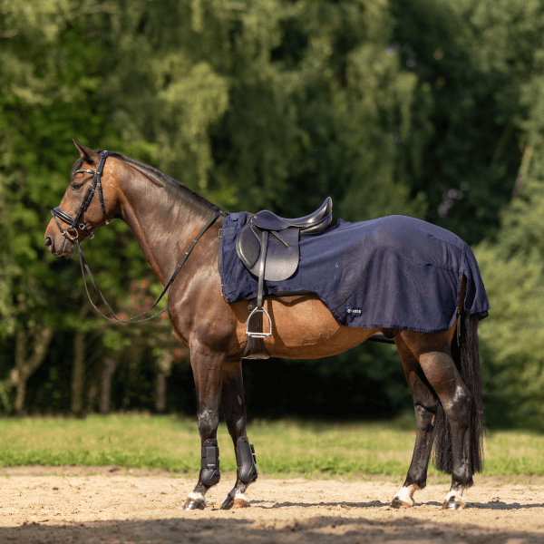 Meilleurs prix pour BUSSE Couverture de randonnée anti-mouches FLEXI FLY III