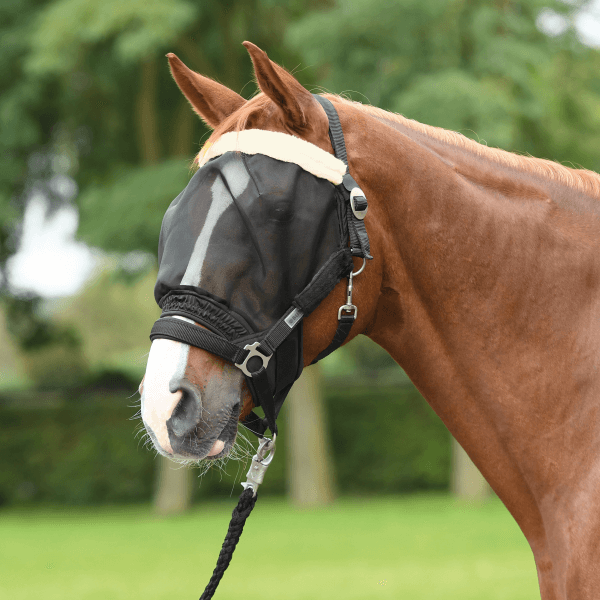 Comparer les prix de Busse Masque anti-mouches COMBI