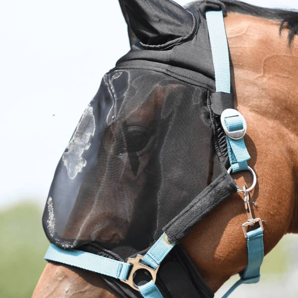 Meilleurs prix pour Masque anti-mouches Busse COMBI PLUS