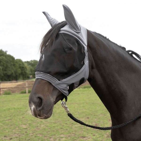 Meilleurs prix pour Busse – Masque anti-mouches FLY BUCKLER GAP