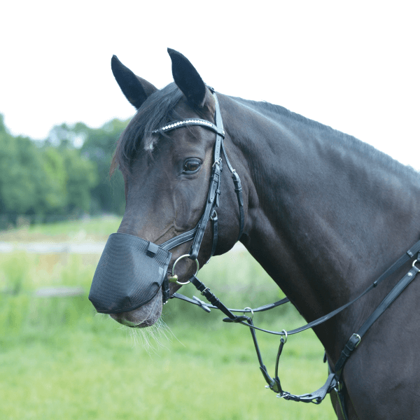 Comparer les prix de Busse Protège-naseaux FLY PROFESSIONAL ANATOMIC