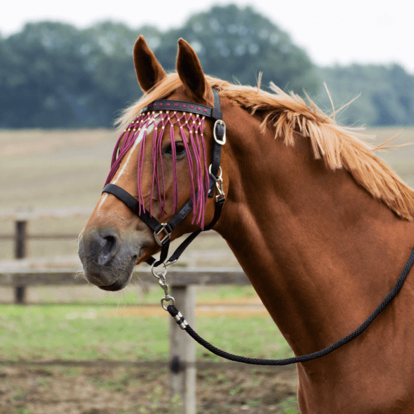 Comparer les prix de Cordon anti-mouches Busse EXCLUSIF