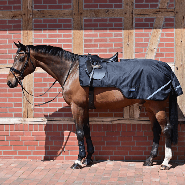 Comparer les prix de Busse Couvre-reins RAINTRAINER 100g