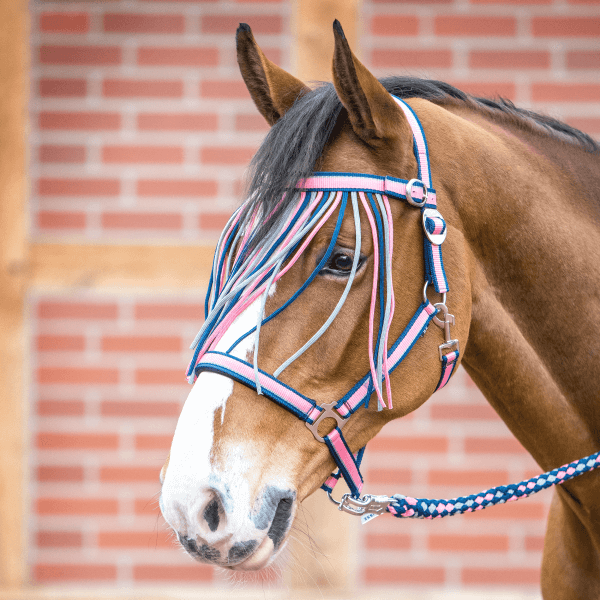 Meilleurs prix pour Frontalier anti-mouches avec boucles de Busse