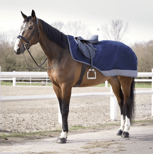 Comparer les prix de Couvre-reins Equithème Tyrex 600D