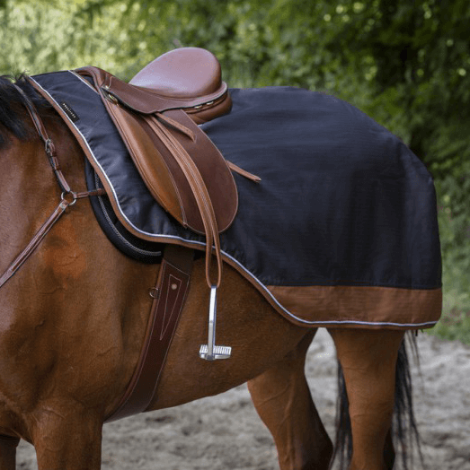 Meilleurs prix pour Couvre-reins imperméable pour cheval Equithème TYREX 600 D
