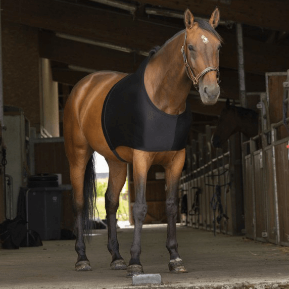 Comparer les prix de Protège-épaule pour cheval Equithème