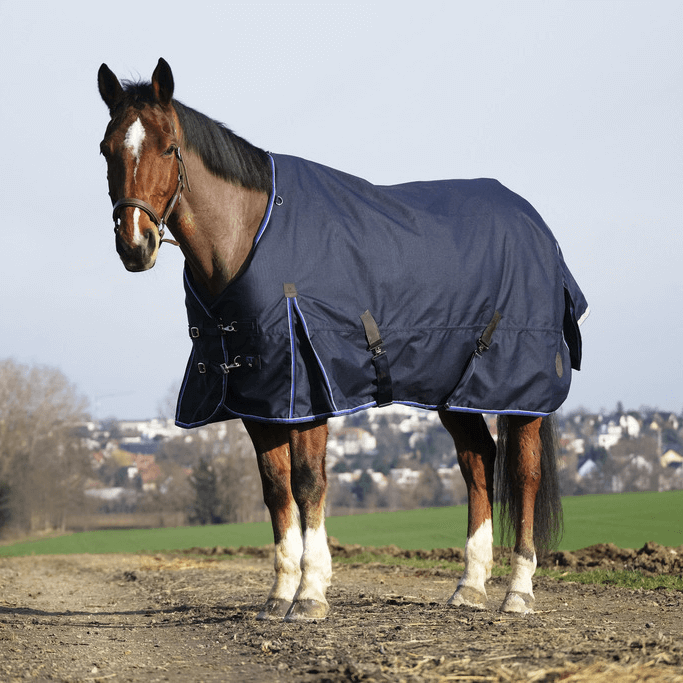 Comparer les prix de Couverture d'extérieur pour cheval Equithème Classic 1200D 0 g