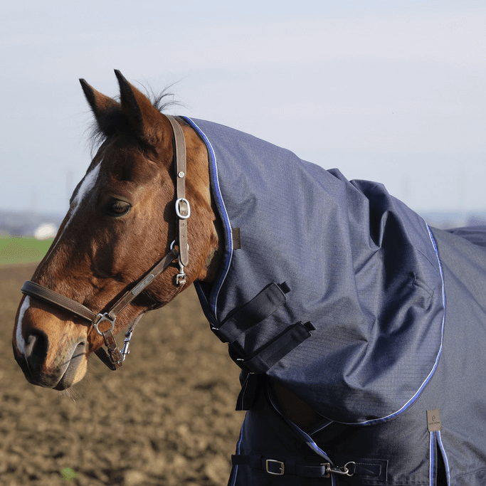 Meilleurs prix pour Protège-cou Equithème Classic 600D 150g