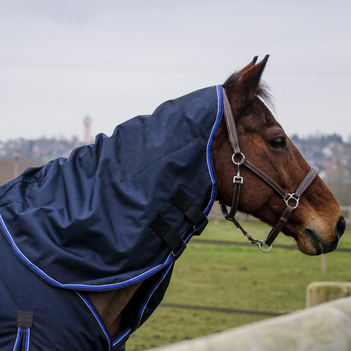 Meilleurs prix pour Equithème Classic 1200D 0g Couvre-cou