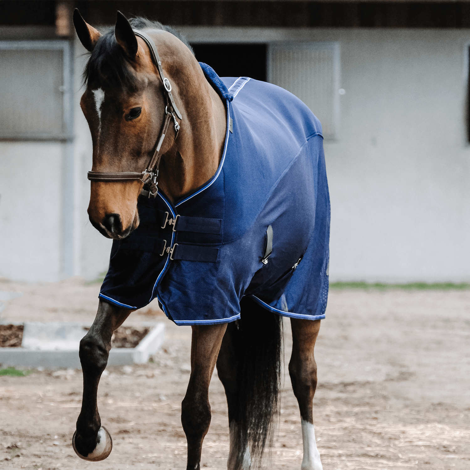 Meilleurs prix pour Equithème Classic Couverture 3D-Mesh 0g