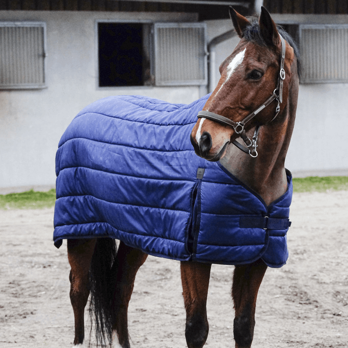 Equithème Classic 50g Unterdecke HorSeven