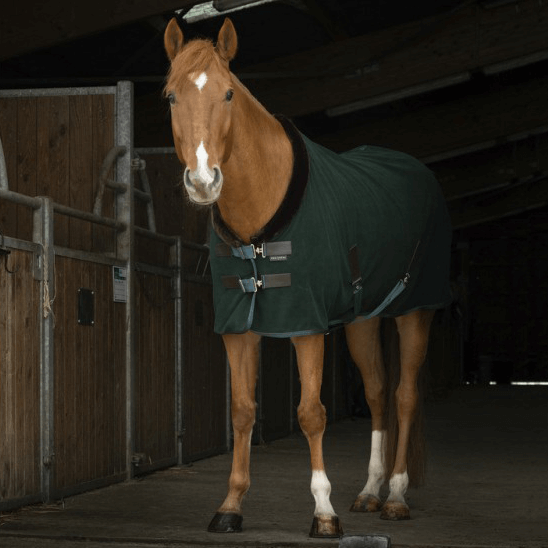 Comparer les prix de Equithème couverture séchante Teddy Polarfleece