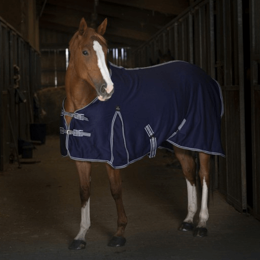 Meilleurs prix pour Equithème couverture séchante d’été en jersey