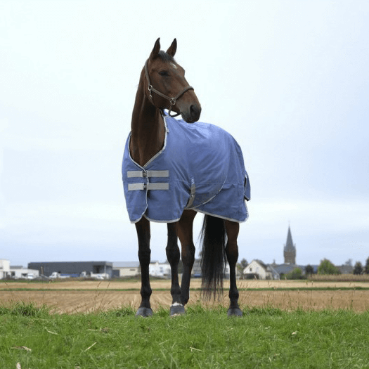 Comparer les prix de Couverture d'extérieur pour cheval recyclée Equithème Tyrex 600 D 150g