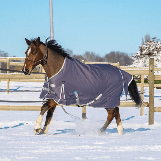 Comparer les prix de Couverture d'extérieur pour cheval recyclée Equithème TYREX 1200D 150g