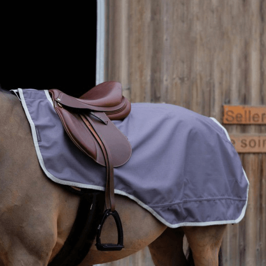 Meilleurs prix pour Couvre-reins pour cheval Equithème Tyrex 1200D