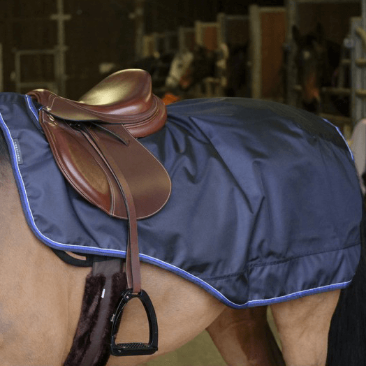 Meilleurs prix pour Equithème Tyrex 1680D Couvre-reins avec doublure Coolmax
