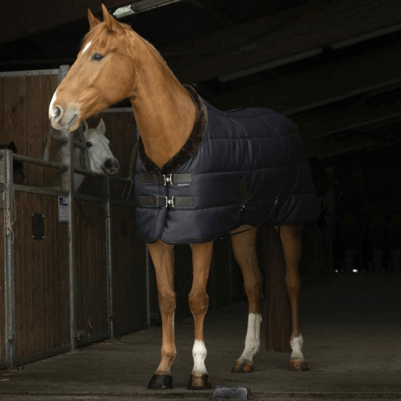 Meilleurs prix pour Couverture d'écurie Equithème Teddy 200g