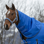 blau/schwarz
