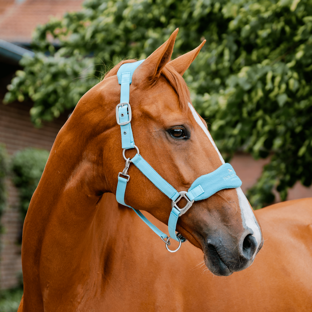 Comparer les prix de Horseware Signature Grooming Headcollar