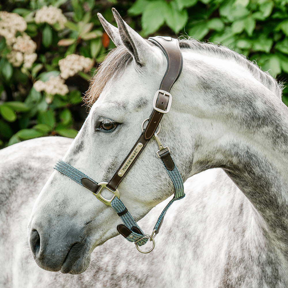 Meilleurs prix pour Horseware Signature Braided Headcollar