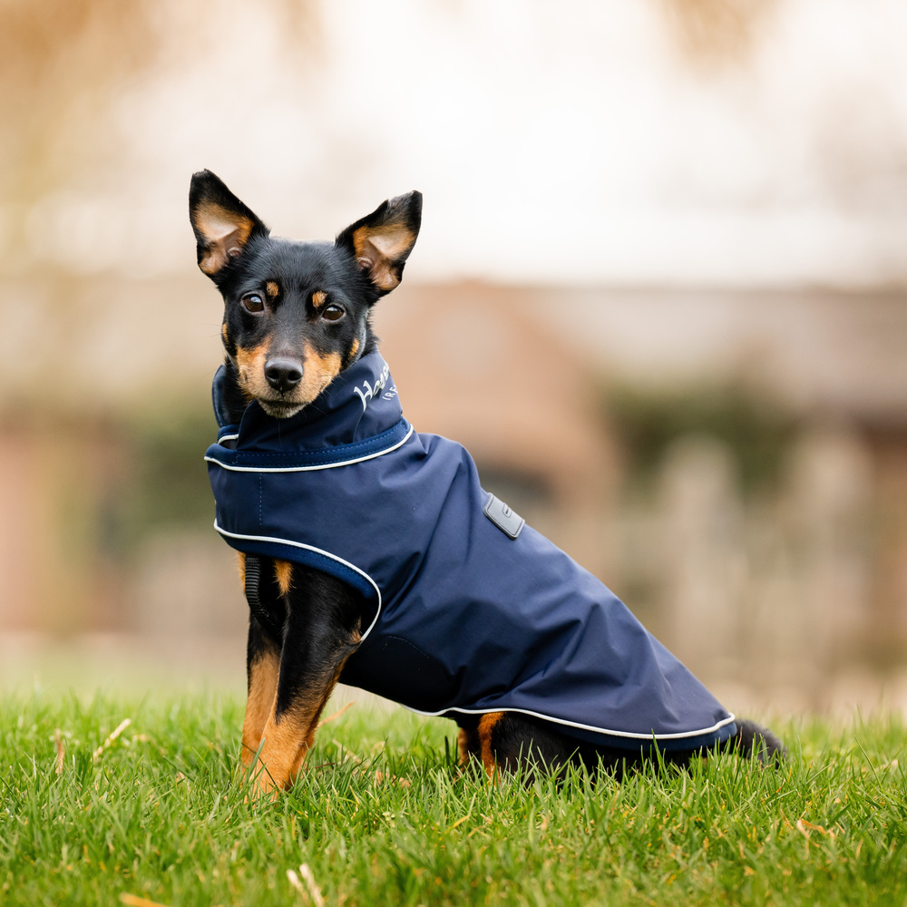 Comparer les prix de Horseware Signature Dog Rain Coat 0g