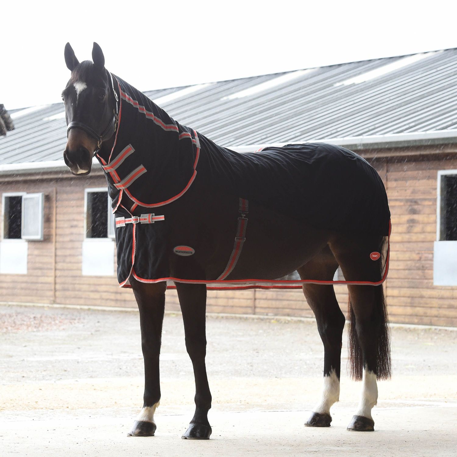 Couverture Rafraîchissante WEATHERBEETA Dri-Col Standard 5 Pieds - Pour Cheval - Neuve