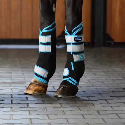 Weatherbeeta Therapy-Tec Stallgamaschen