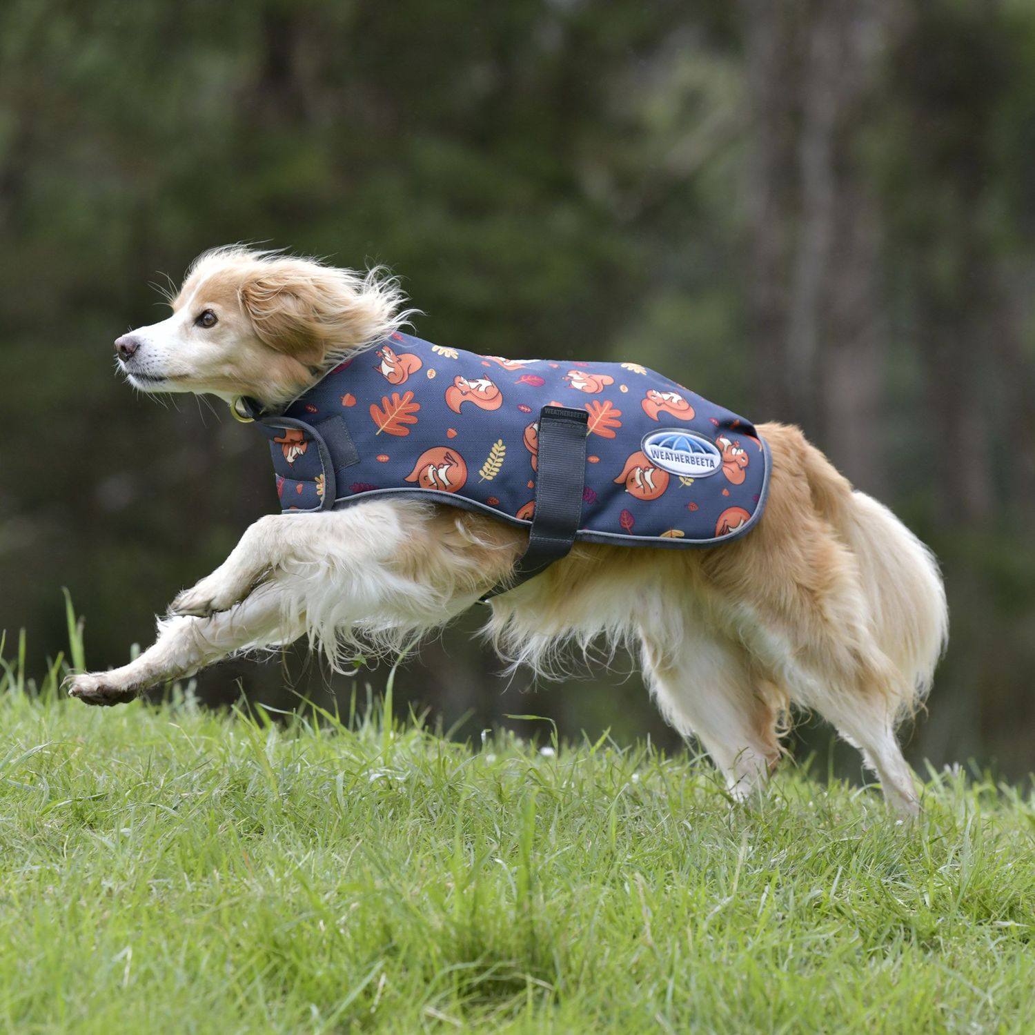Weatherbeeta Comfitec Premier Free Parka Hundemantel – Wasserdicht, Wärmend & Mit Reflektierenden Details
