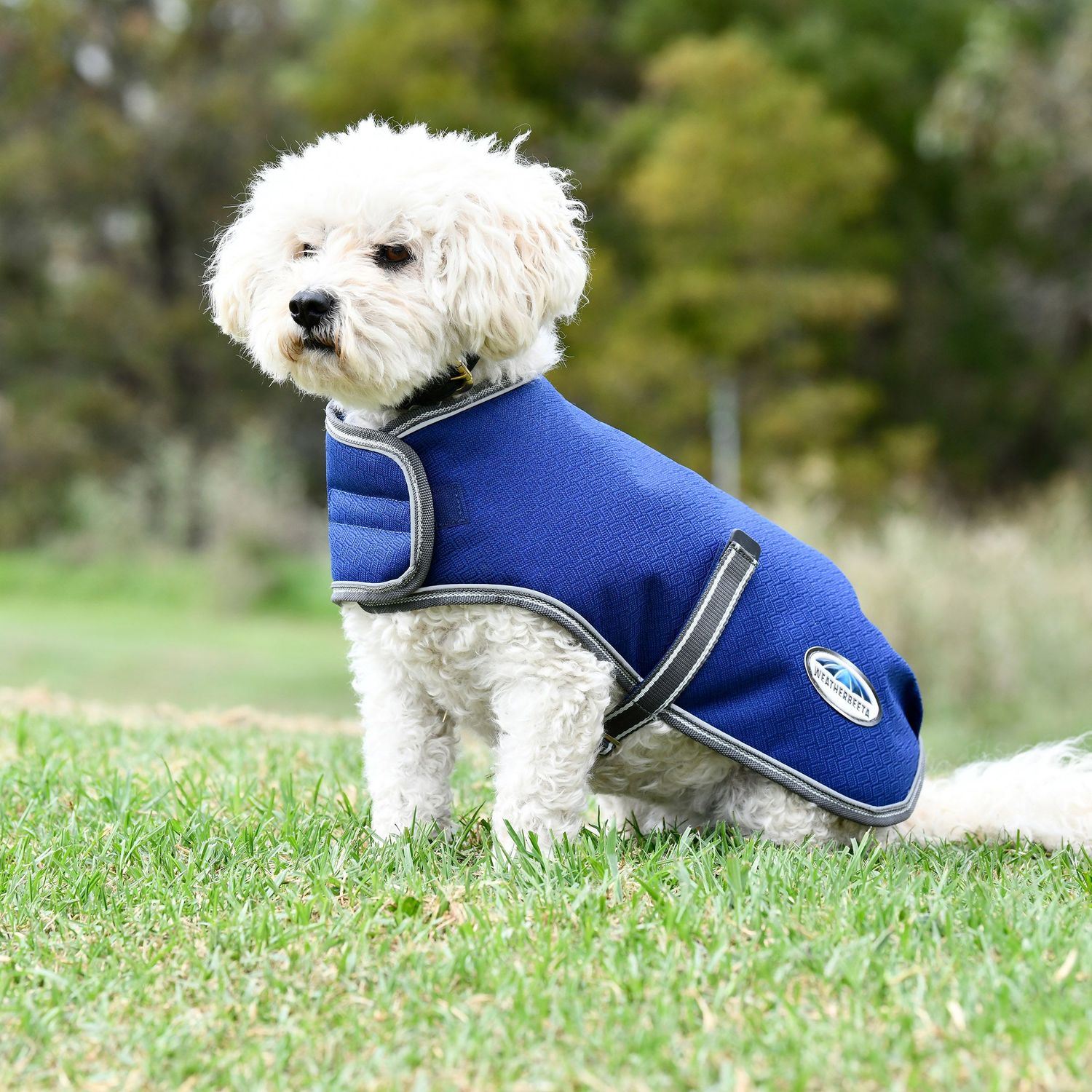 Weatherbeeta Comfitec Premier Free Parka Hundemantel – Wasserdicht, Wärmend & Mit Reflektierenden Details